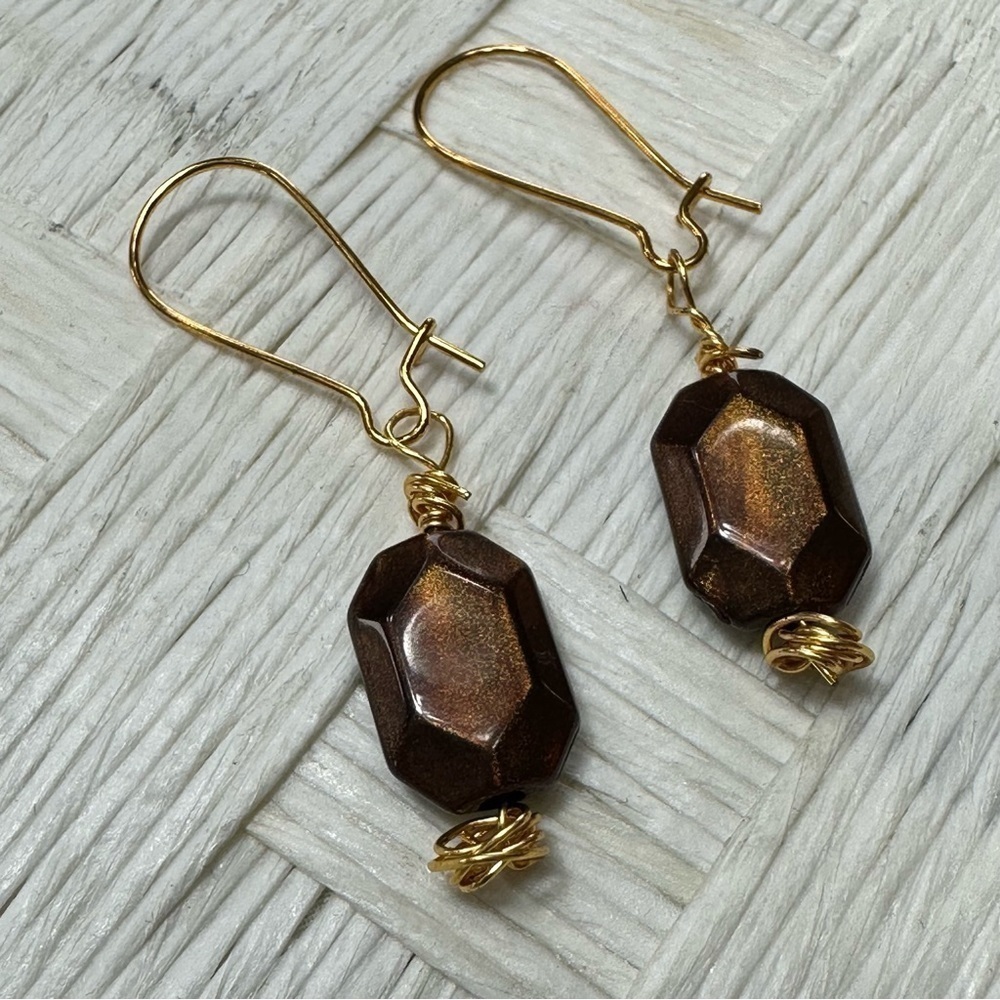 Boho Glam Brown Dangle Drop Earrings